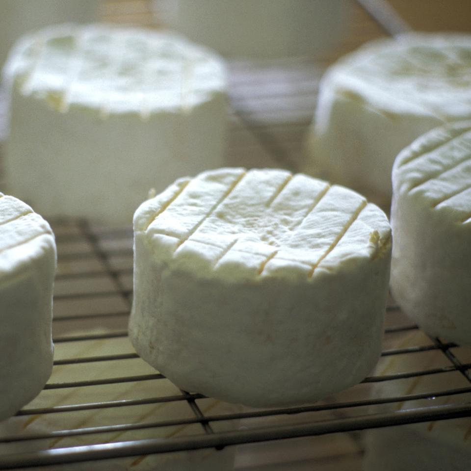 Comment fabriquer son fromage maison — free download